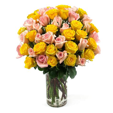 50 Long Stem Assorted Roses 50 Assorted Roses