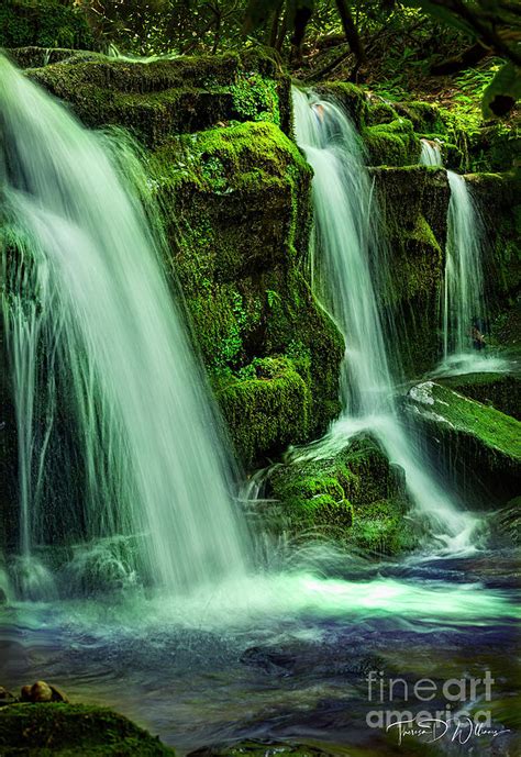 Smoky Mountains Waterfalls Photograph By Theresa D Williams Fine Art