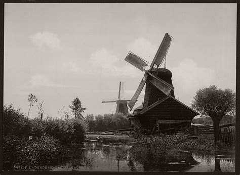 Vintage Historic Bandw Photos Of Dutch Windmills In 19th Century