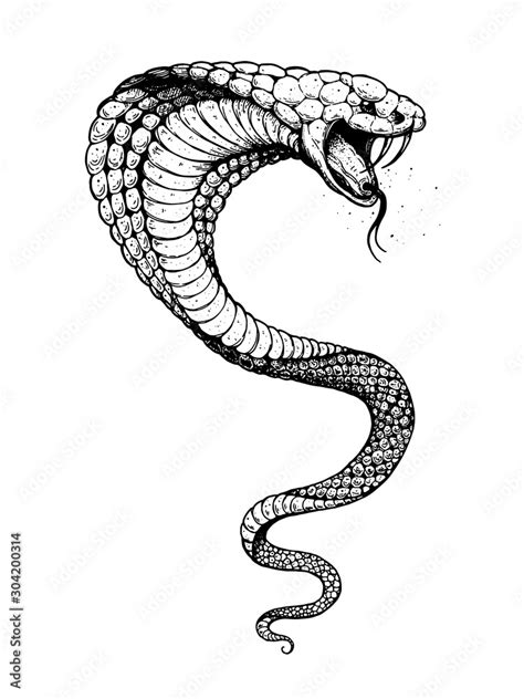 Top 100 About Cobra Snake Tattoo Best Indaotaonec