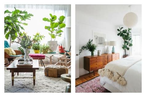 24 marzo, 201924 marzo, 2019 ~ todo deco nd. Decorar con plantas de interior muy grandes