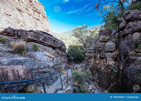 Grand Canyon In The Grampians Stock Photo Image Of Plant Fitness