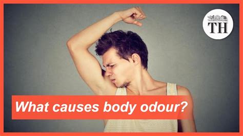 What Causes Body Odour To Smell Pungent Youtube
