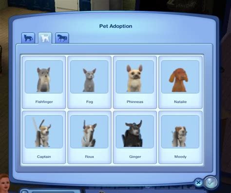 Steam Community Guide The Sims 3 Pets How To Keep Your Pets Happy