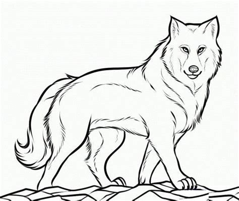 Coloring pages best coloring printable wolf howling free for. Realistic Wolf Coloring Pages Wolf Pictures To Color ...