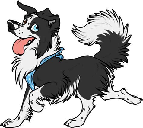 Border Collie Colors Border Collie Pictures Puppy Drawing