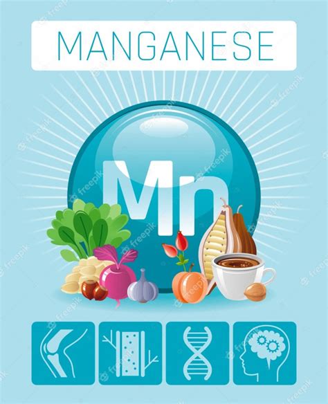 Manganese Mn Mineral Vitamin Supplement Icons Food And Drink Healthy