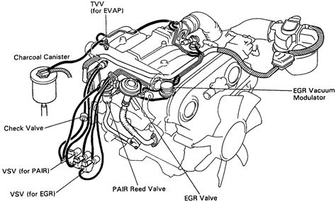 Toyotum Tacoma V6 Engine Diagram Complete Wiring Schemas