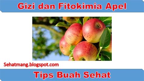 Cuka sari apel adalah bahan yang memiliki banyak manfaat bagi kesehatan dan kulit. Manfaat Buah Apel Bagi Kesehatan Tubuh