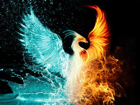 Phoenix Wallpaper Phoenix Images Phoenix Bird