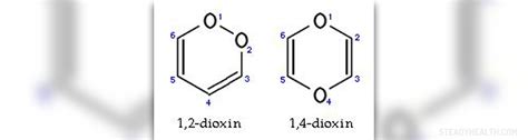 Dioxin is a general term. Dioxin poisoning symptoms | Nervous System Disorders and Diseases articles | Body & Health ...