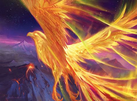 Aurora Phoenix By Caio Monteiro