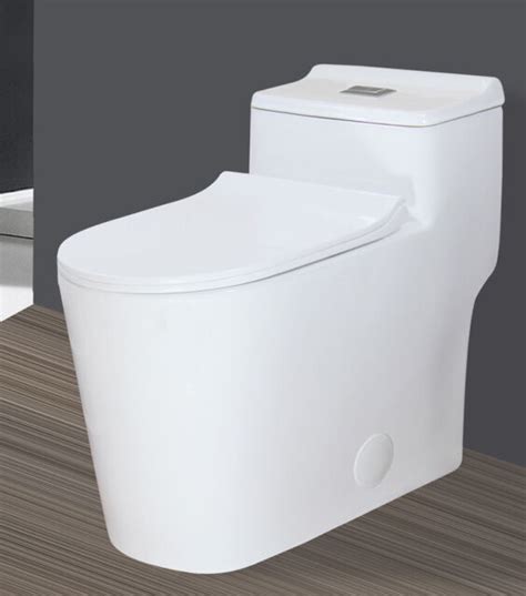 Caroma Sydney Smart 305 Ada Elongated One Piece Dual Flush Toilet White