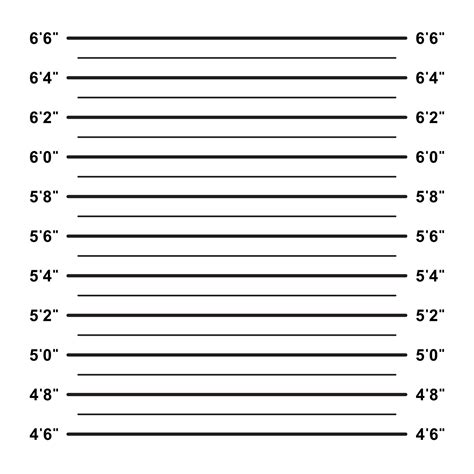 Mugshot, police lineup background vector in clipart style 12210702