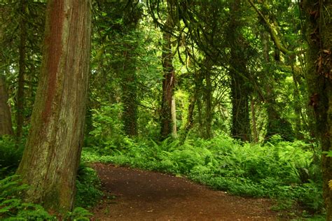 Not a name that comes to mind when thinking about travel destinations. Burfoot Park Olympia Washington (4) - ThurstonTalk
