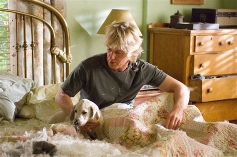 Maybe you would like to learn more about one of these? Bluray Marley Y Yo ( Marley & Me ) 2008 - David Frankel ...