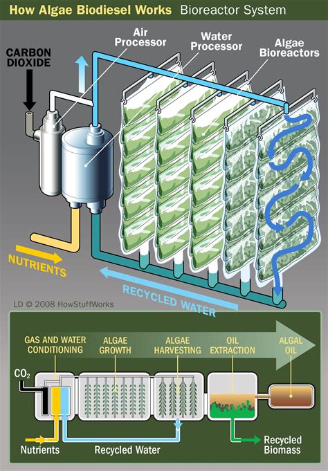 Biomass contains stored energyfrom the sun. How Algae Biodiesel Works | Biomass energy, Biogas, Energy ...