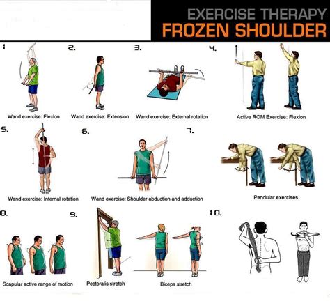 Frozen Shoulder Shoulder Exercises Physical Therapy Shoulder Rehab