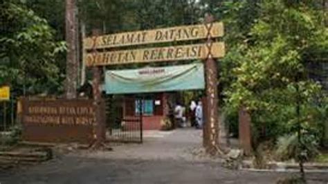 Experiencesungai tekala recreation forest.promoting your link also lets your audience know that you are featured on a rapidly growing travel site.in setup your trip planning widget for best results, use the customized trip planning widget for sungai tekala recreation forest on your website.it has all. Sungai Tekala Amenity Forest - Tourism Selangor
