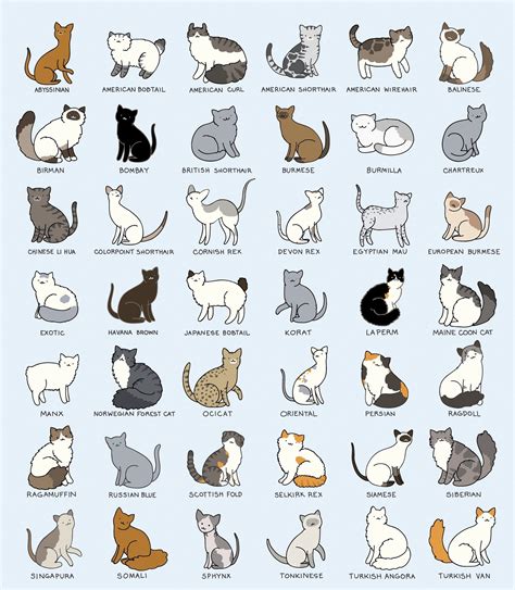 Pin By Дарья On Daryart Cat Breeds Chart Cats Illustration Cat Breeds