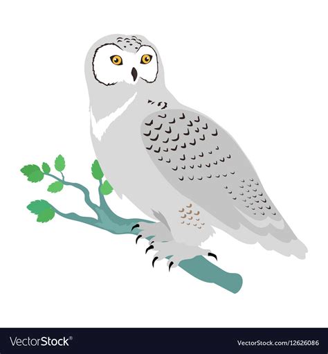 Free for commercial use no attribution required high quality images. Cartoon Pictures Of Snowy Owls