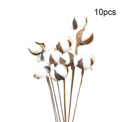 23 inches natural white cotton stem flowers cotton boll branches farmhouse rustic style vase