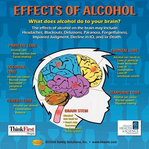 Alcohol Seizures And Brain Damage Brainlyqh