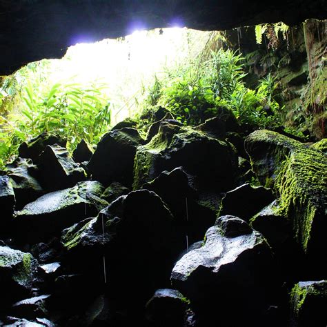 Kaumana Caves Park Hilo 2022 Alles Wat U Moet Weten Voordat Je Gaat