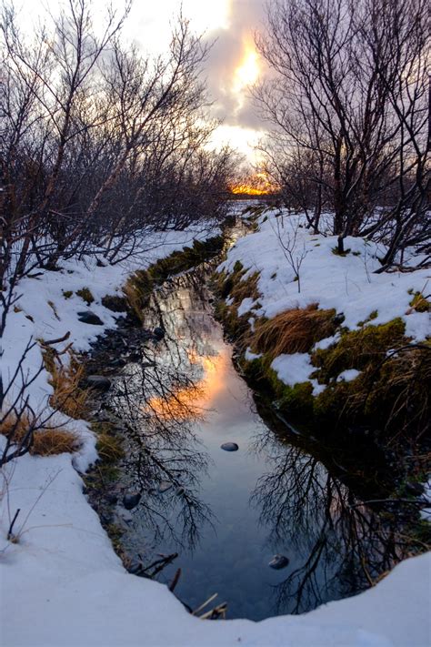 Iceland In Winter Sunrise Reflecting In A Small Creek Winter