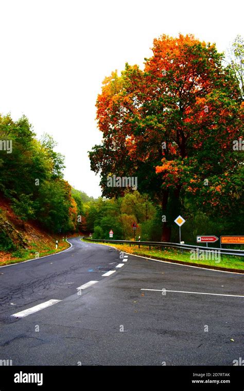 Autumn Trees At The Roadside Stock Photo Alamy