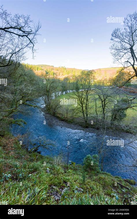 The River Barle From Burridge Woods Near Dulverton In The Exmoor