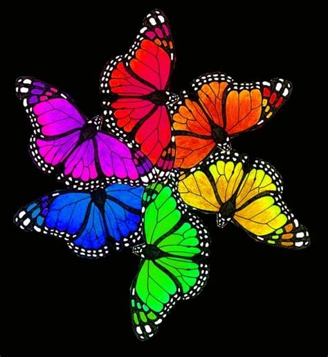 Pin By Judyaviles On Rainbow Colors In 2020 Rainbow Butterflies