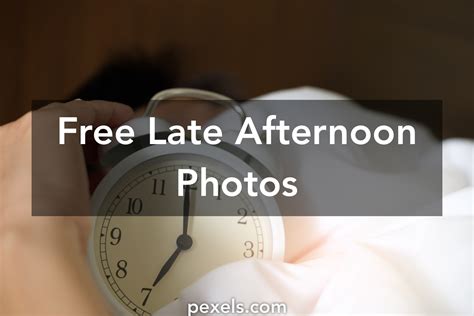 50 Great Late Afternoon Photos Pexels · Free Stock Photos