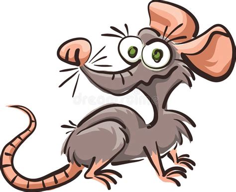 Funny Cartoon Rat Stock Vector Illustration Of Snout 72741281