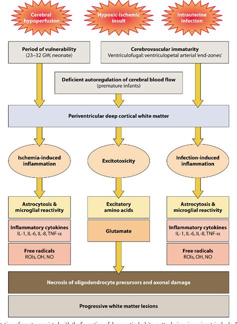 Distal risk factors for neonatal sepsis include poverty and poor environmental conditions. Figure 3 from Early-Onset Neonatal Sepsis | Semantic Scholar