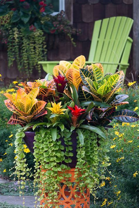 Summer Container Garden Flowers Ideas In Backyard Homemydesign