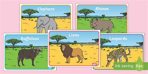 The Big Five African Animals Class Group Signs Twinkl