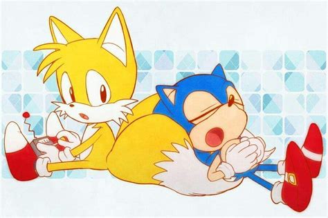 Tails The Cute Fox Sonic The Hedgehog Amino