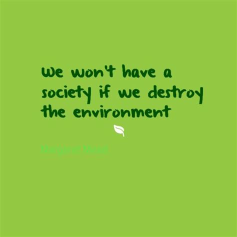 We Must Take Care Of Our Environment Or It Will Not Take Care Of Us