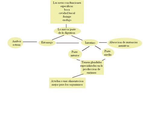 Biologia Mapas Conceptuales El Aparato Digestivo