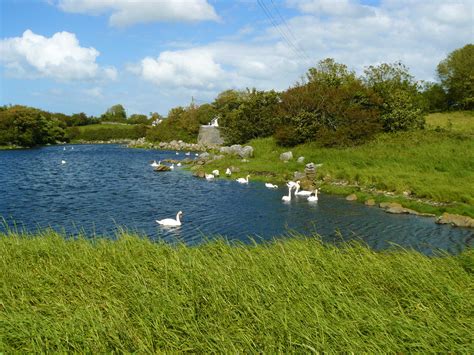 Irish Swan Pond By Sleepwalker1803 On Deviantart