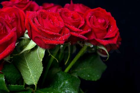 Rosen Blumenstrauß Rot Stock Bild Colourbox