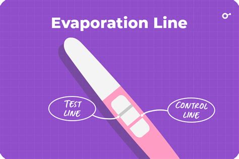 What Is An Evaporation Line On A Pregnancy Test Inito