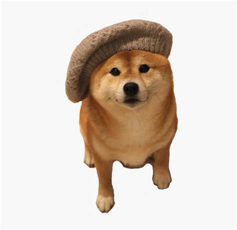 Shiba Inu Beret Png Download So You Re Just Gonna Scroll Past