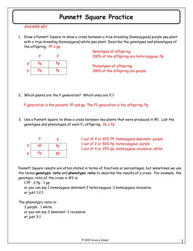 Read each quesiton twice to make sure you are answering what it asks! Dihybrid Cross Worksheet Answers | Homeschooldressage.com