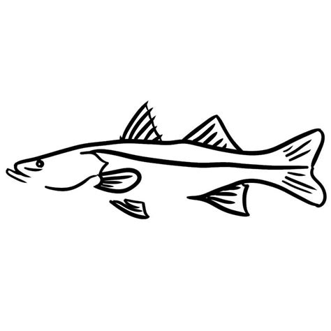 Snook Clipart 10 Free Cliparts Download Images On Clipground 2023