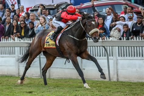 Only seven of the 27 horses still standing (26 acceptors and one supplementary entry) are in the handicap according to official merit ratings. Hollywoodbets Sports Blog: Vodacom Durban July 2020 Horse ...