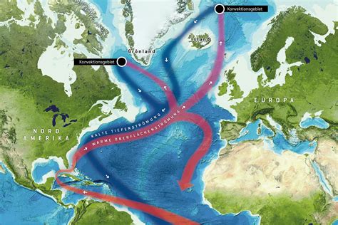 What Is The Future Of The Gulf Stream Circulation