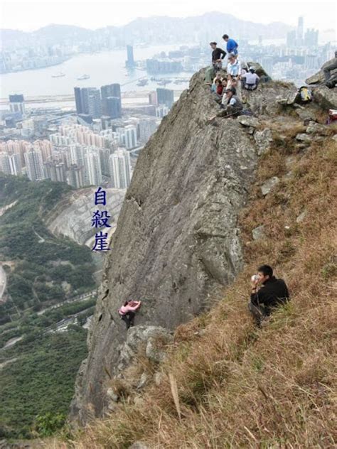 飛鵝山（英語：kowloon peak / fei ngo shan），或名飛鵞山或九龍峰，位於香港的黃大仙區、觀塘區、西貢區和沙田區的交界，新九龍界限邊緣之上，牛池灣東部，四順以北，為九龍群山之一。高度為603米，為新九龍最高山峰。 流浪者之友: 流浪者之友：08年12月07日 飛鵝山