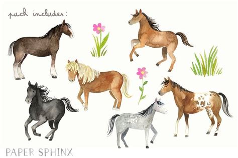 Watercolor Horses Clipart Horse And Pony Breeds Shetland Etsy